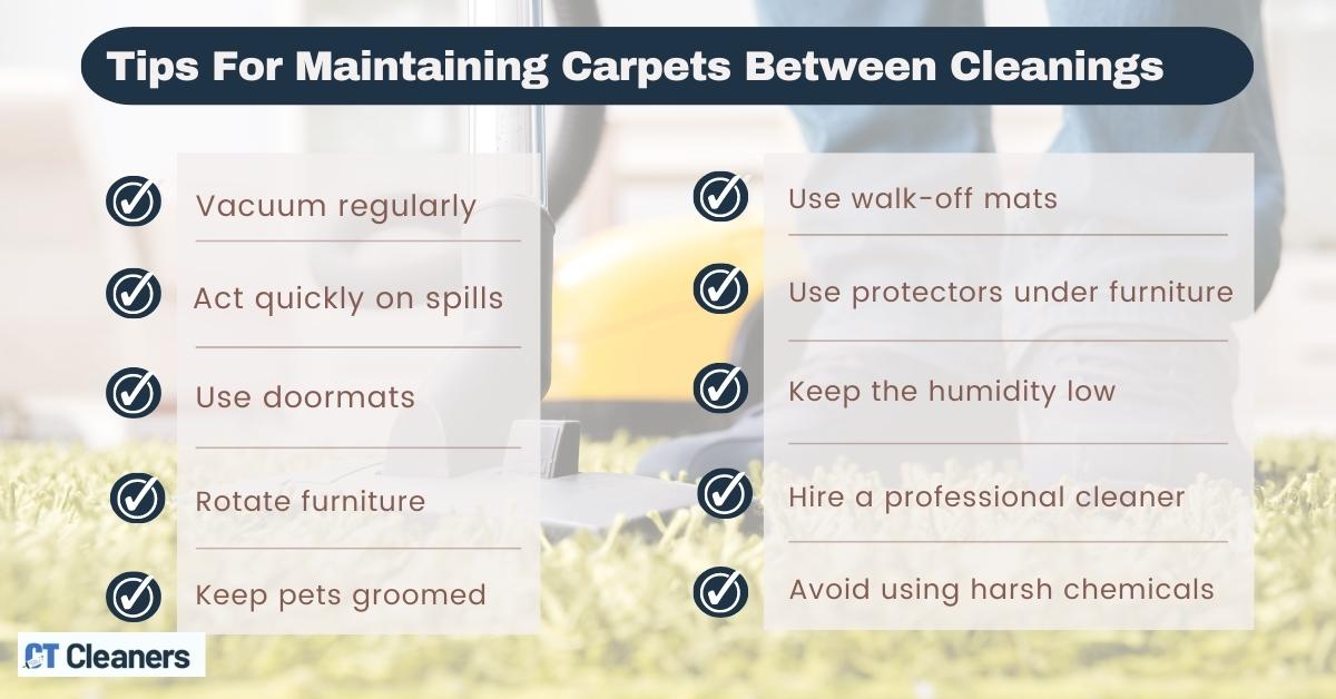Tips For Maintaining Carpets Between Cleanings