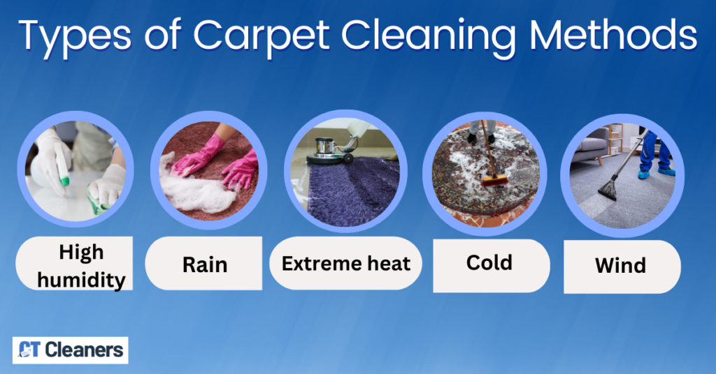 Types of Carpet Cleaning Methods in Ponus