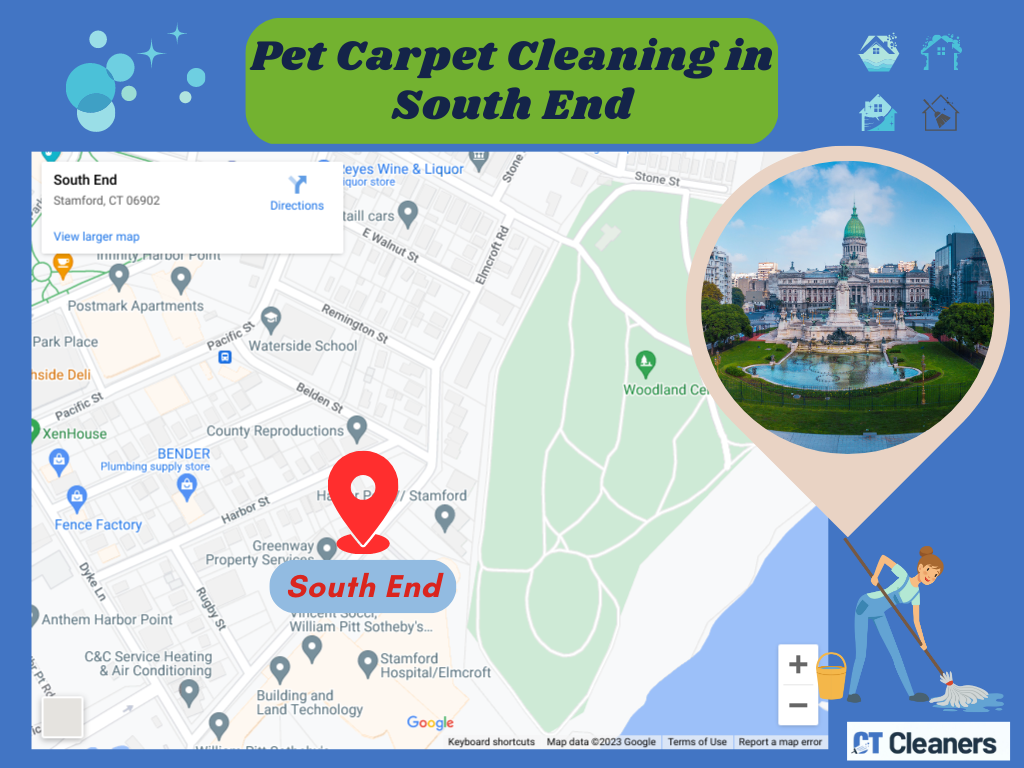 Pet Carpet Cleaning in South End