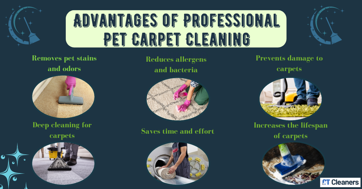 Advantages of Professional Pet Carpet Cleaning Services (4)