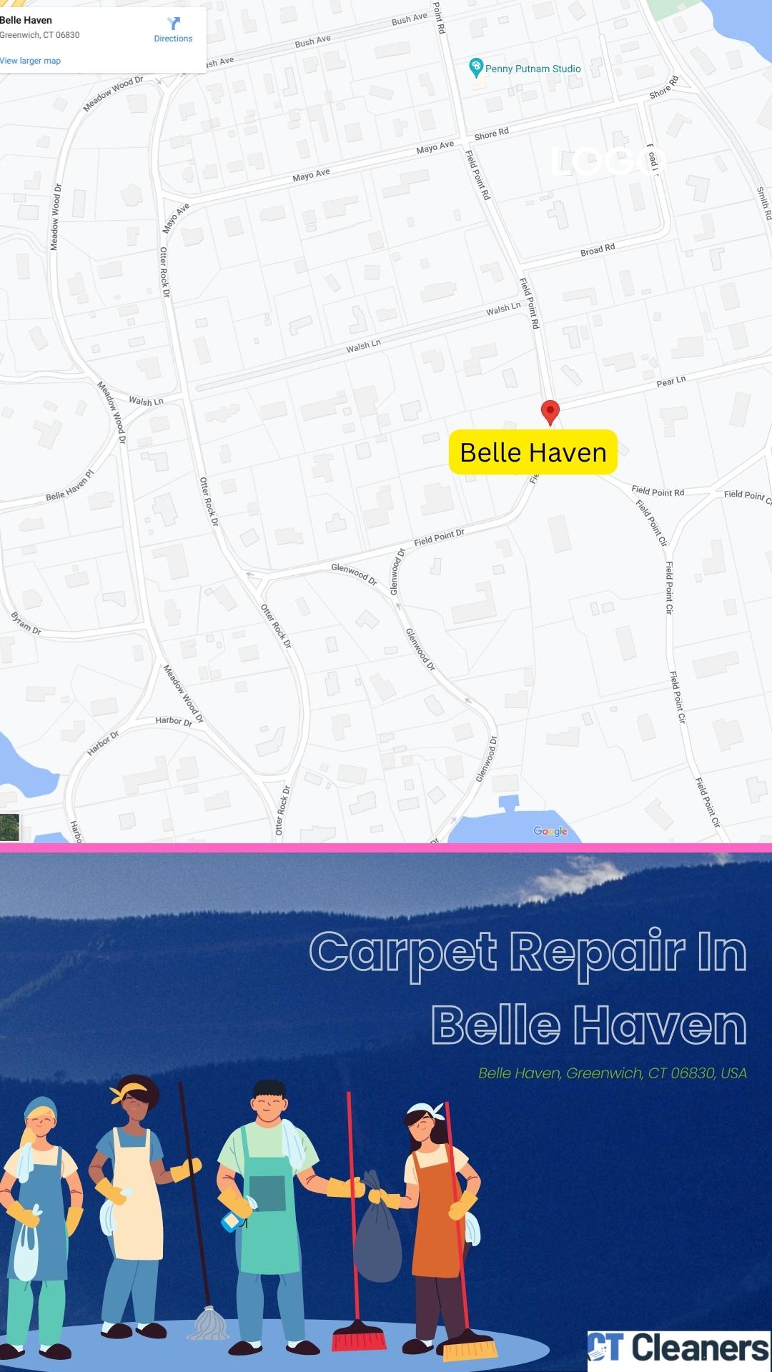 Carpet Stain Remover In Belle Haven Map