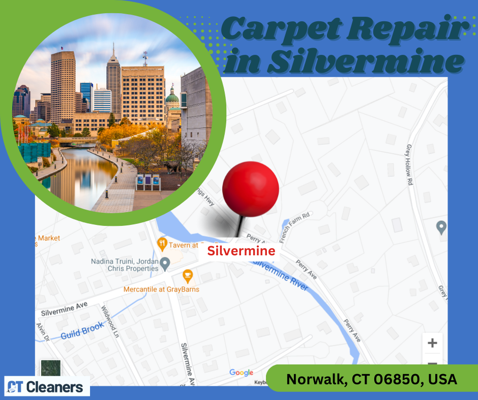 Carpet Repair in Silvermine Map
