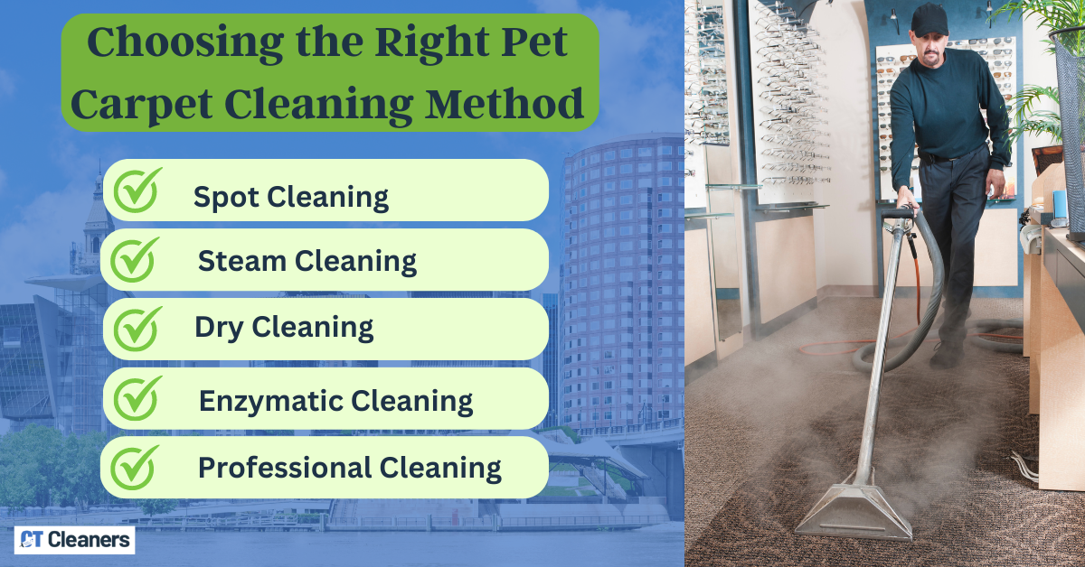 Choosing the Right Pet Carpet Cleaning Method