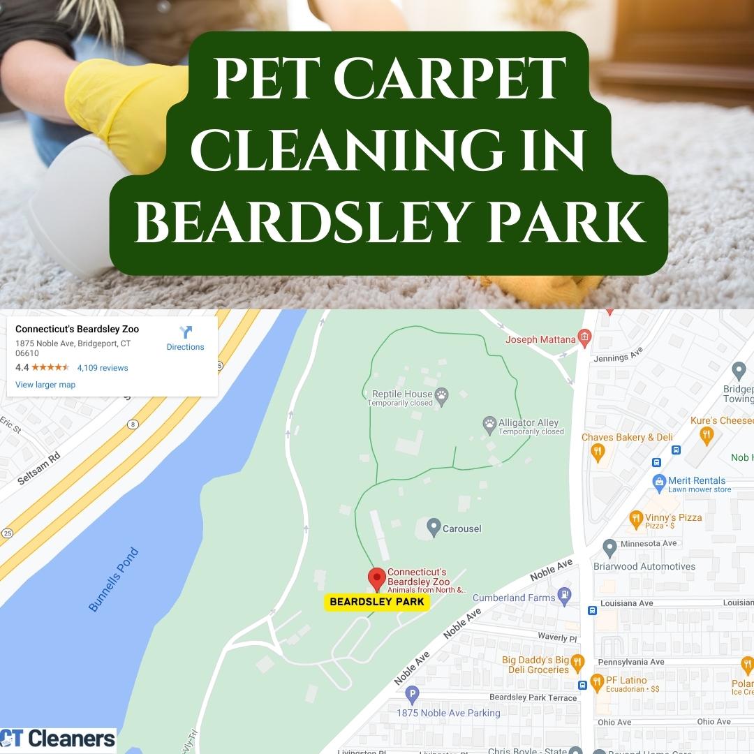 Pet Carpet Cleaning in Beardsley Park Map