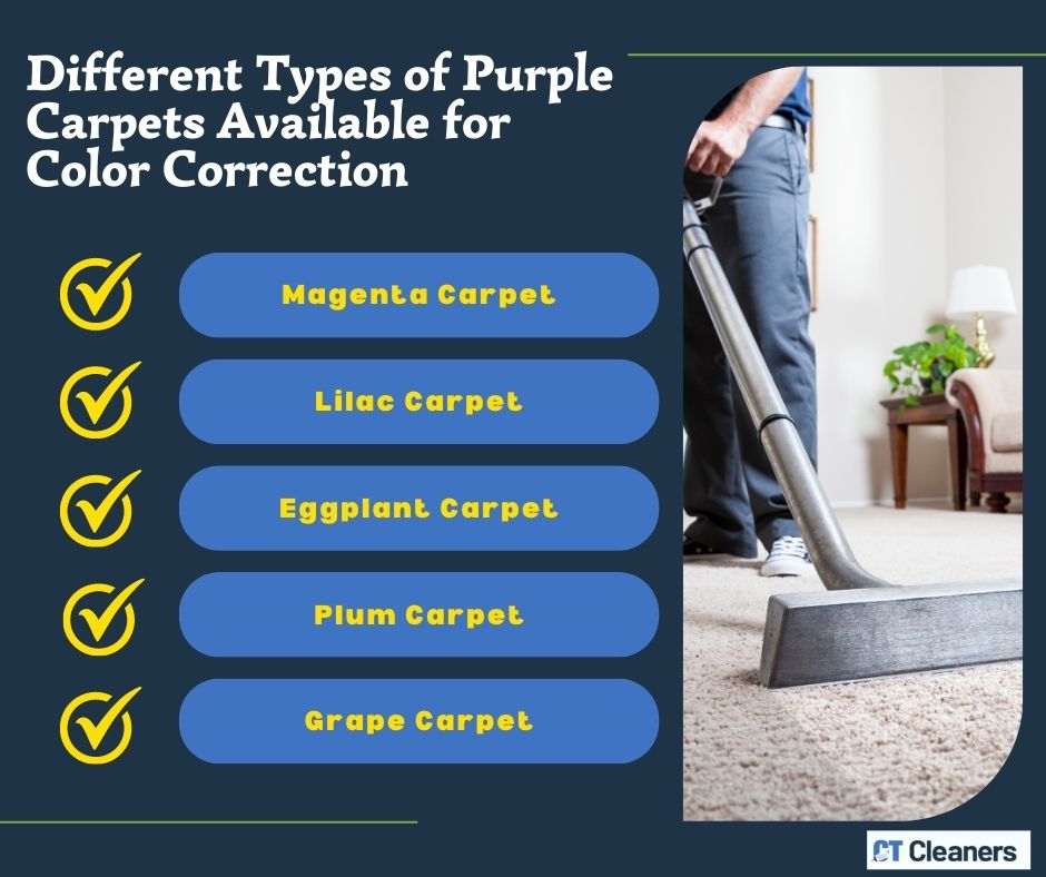 Different Types of Purple Carpets Available for Color Correction