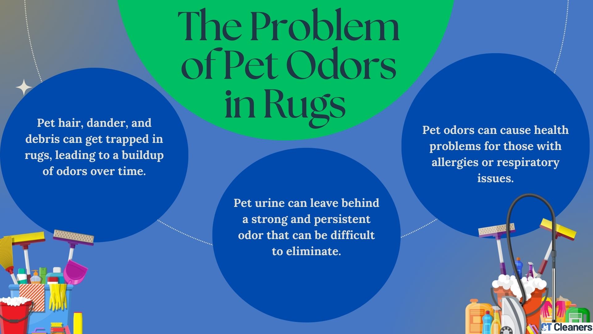 The Problem of Pet Odors in Rugs
