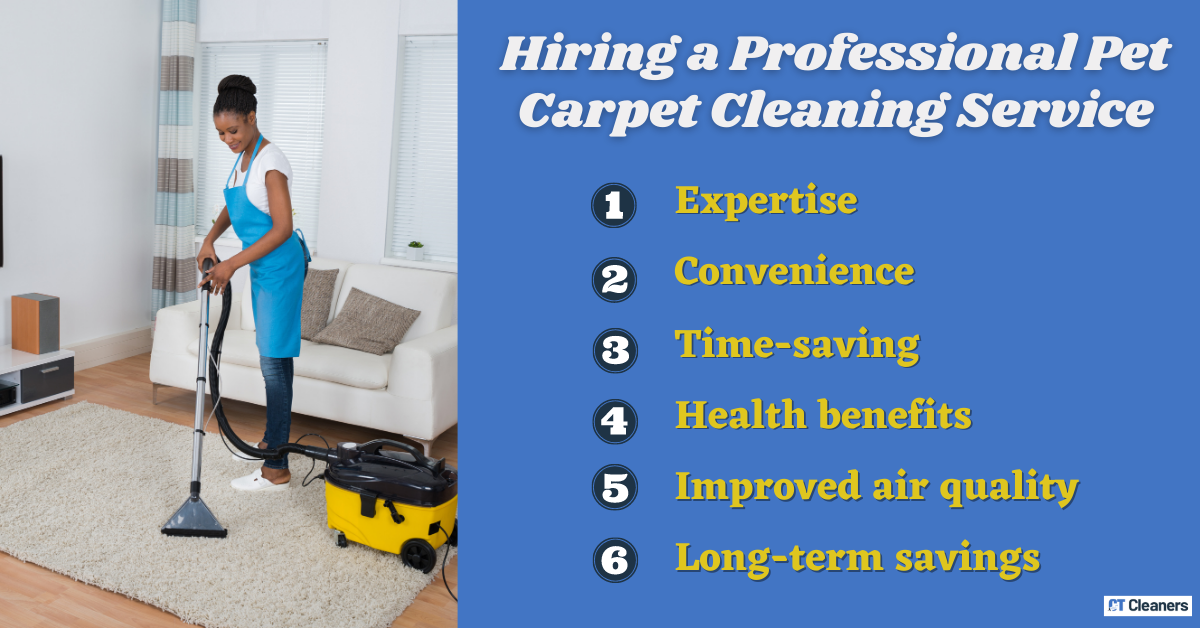 Hiring a Professional Pet Carpet Cleaning Service