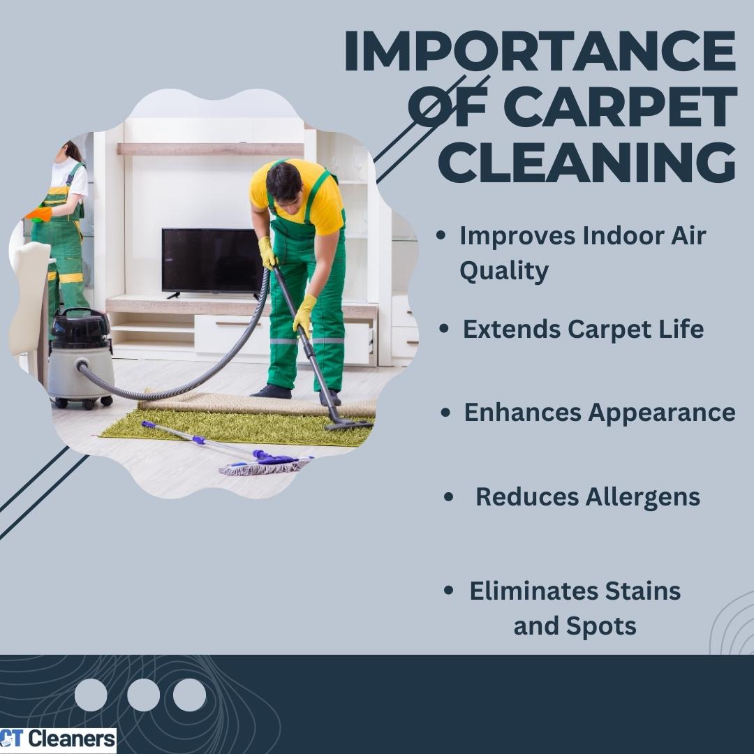 Importance of Carpet Cleaning 