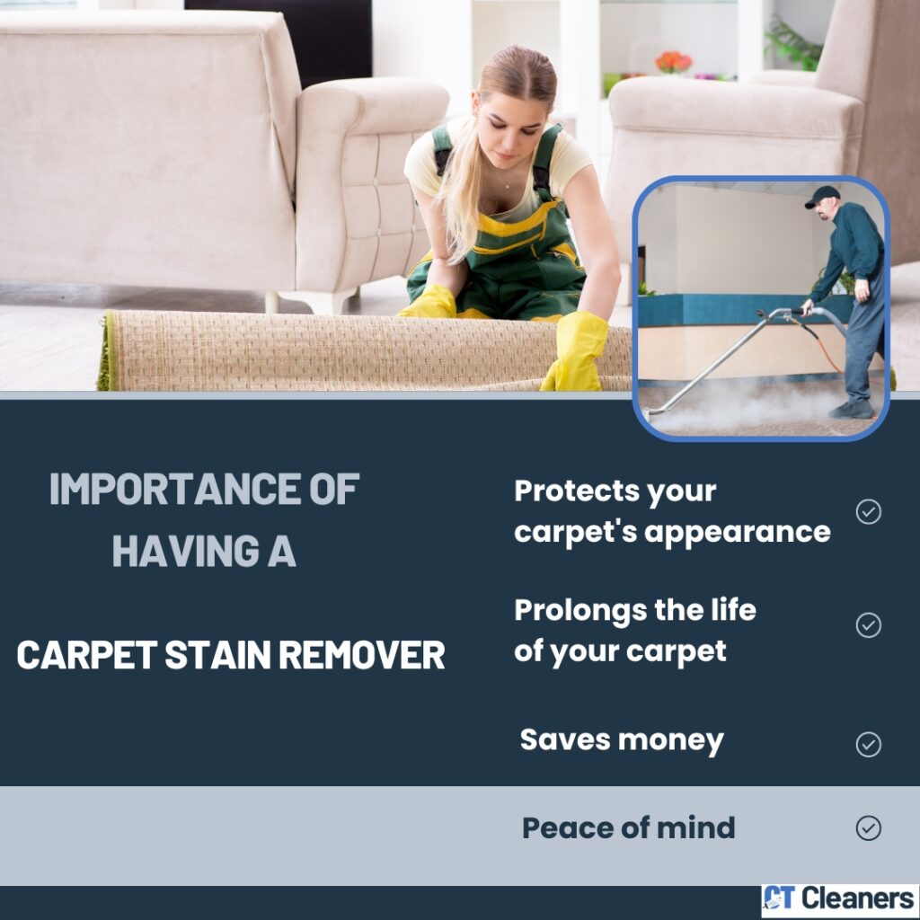 Importance of Having a Carpet Stain Remover