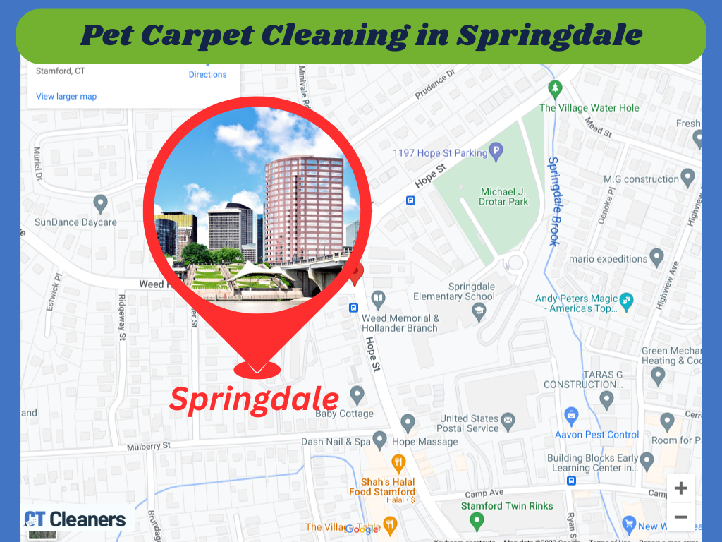 Pet Carpet Cleaning in Springdale