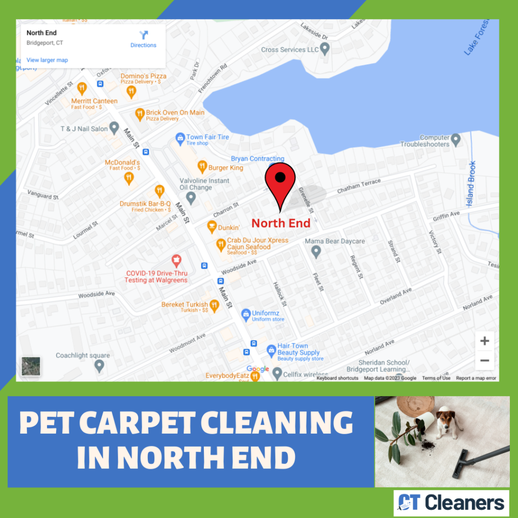 Pet Carpet Cleaning In North End Map