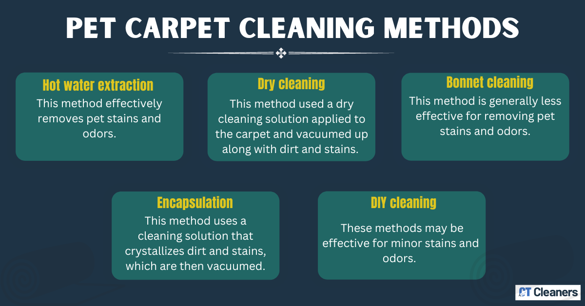 Pet Carpet Cleaning Methods