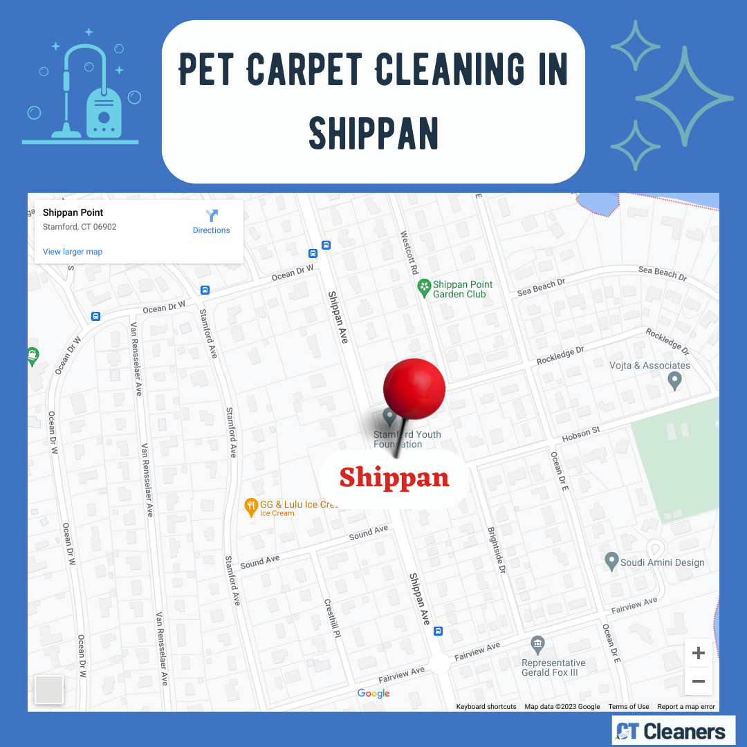 Pet Carpet Cleaning in Shippan (1)