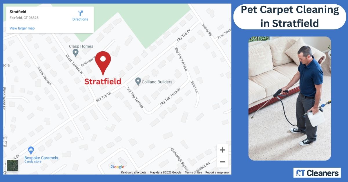 Pet Carpet Cleaning in Stratfield Map