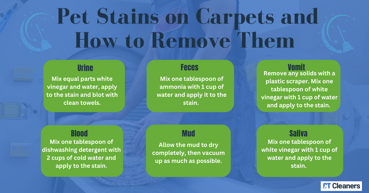 Pet Stains on Carpets and How to Remove Them