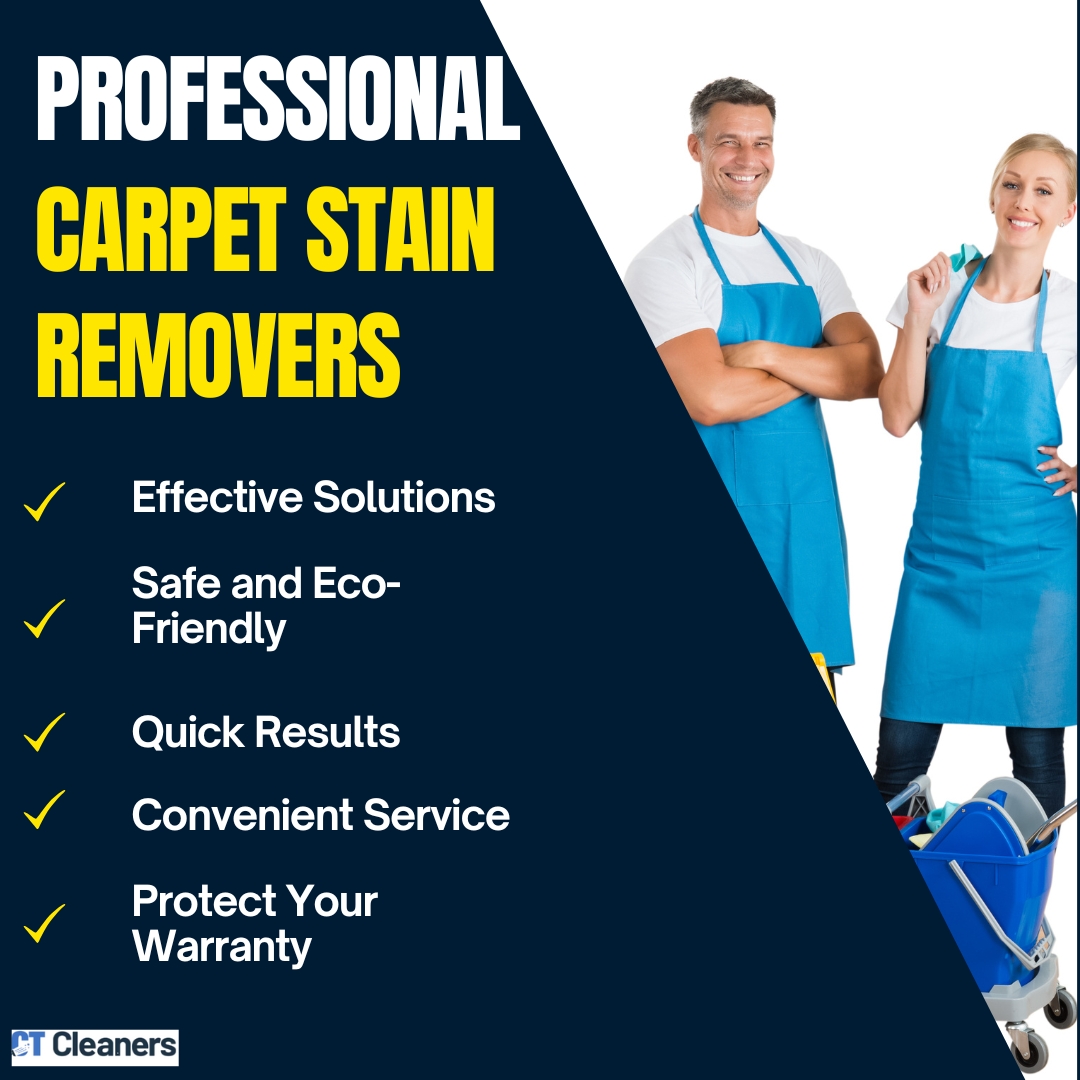 Professional Carpet Stain Removers