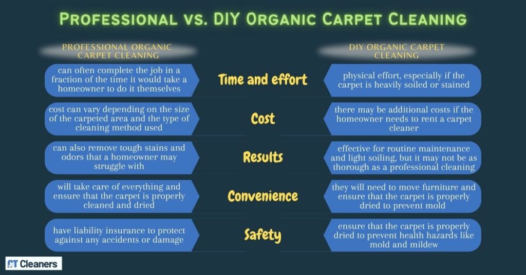 Professional vs. DIY Organic Carpet Cleaning