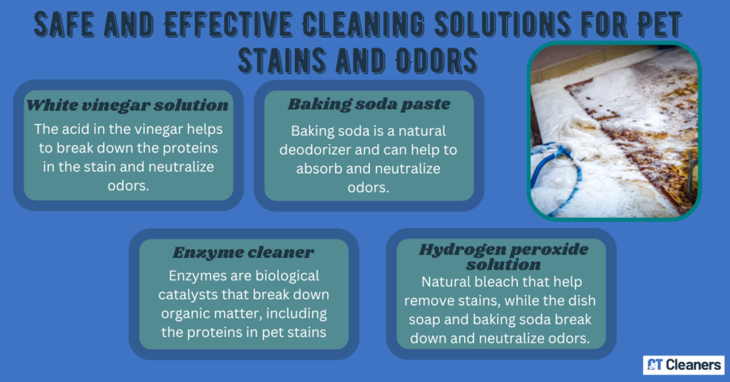 Safe and Effective Cleaning Solutions for Pet Stains and Odors