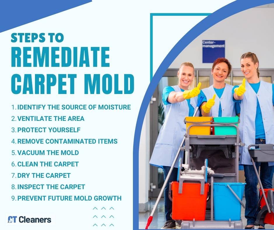 Steps to Remediate Carpet Mold