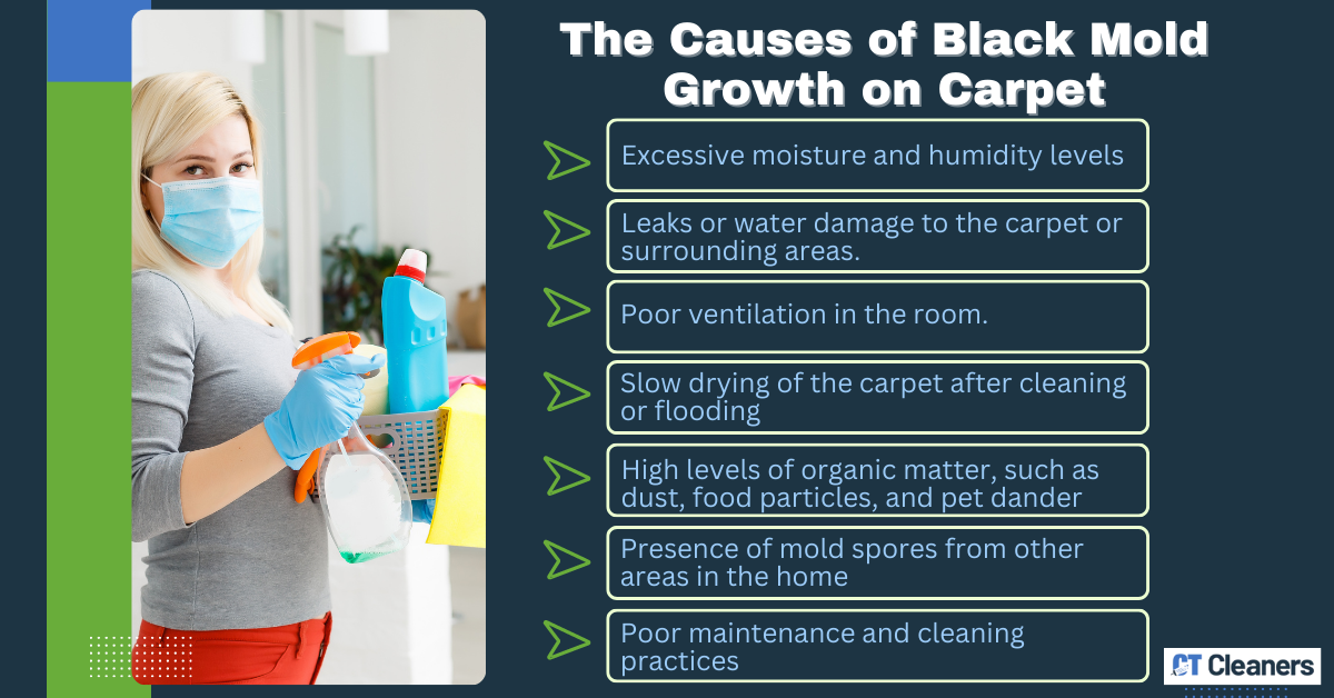 The Causes of Black Mold Growth on Carpet