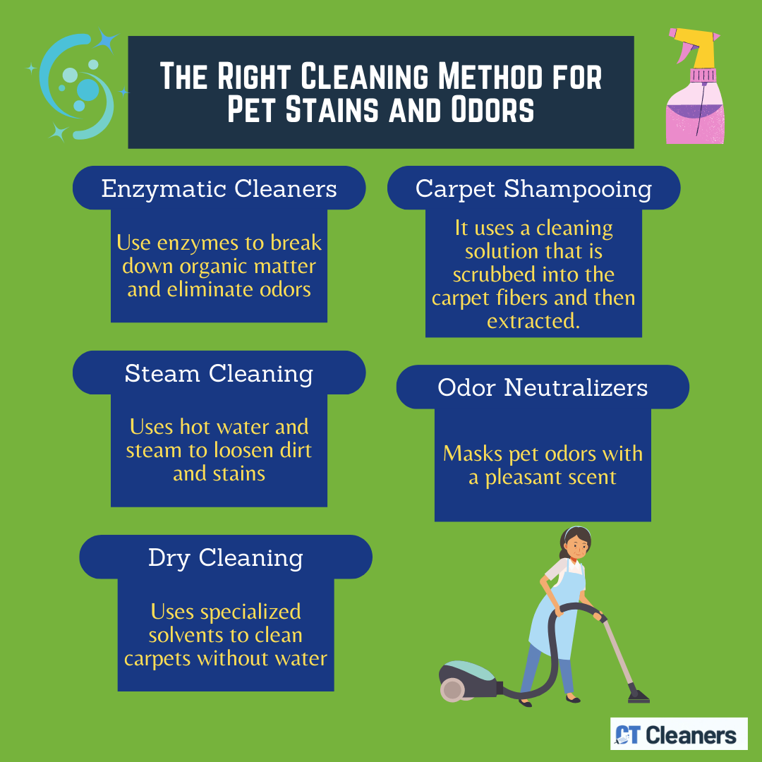 The Right Cleaning Method for Pet Stains and Odors (1)