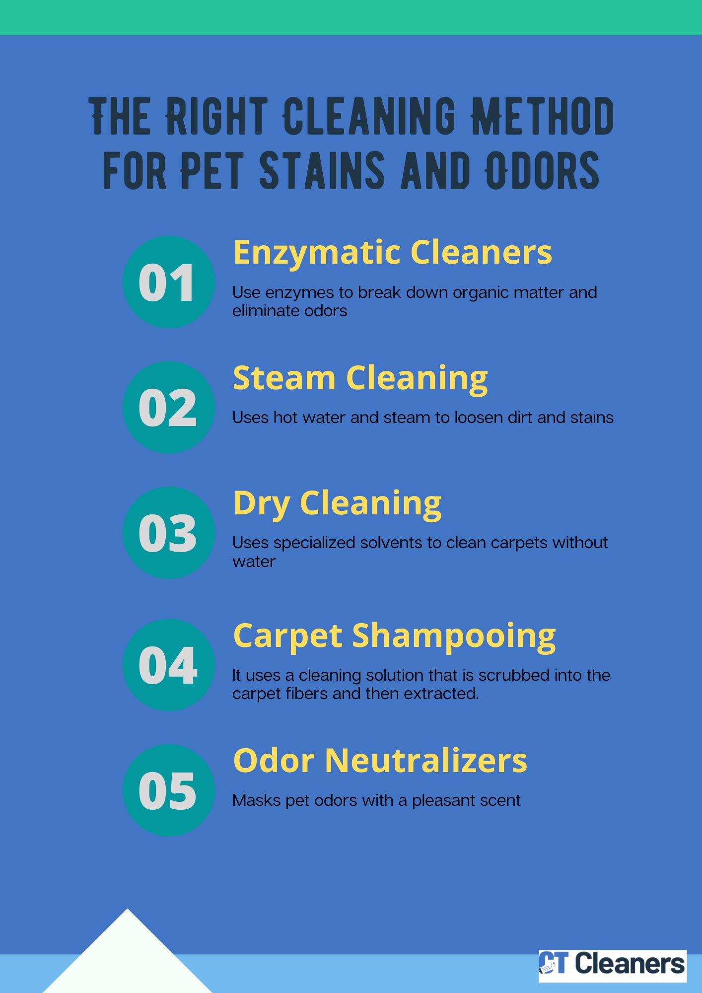 The Right Cleaning Method for Pet Stains and Odors