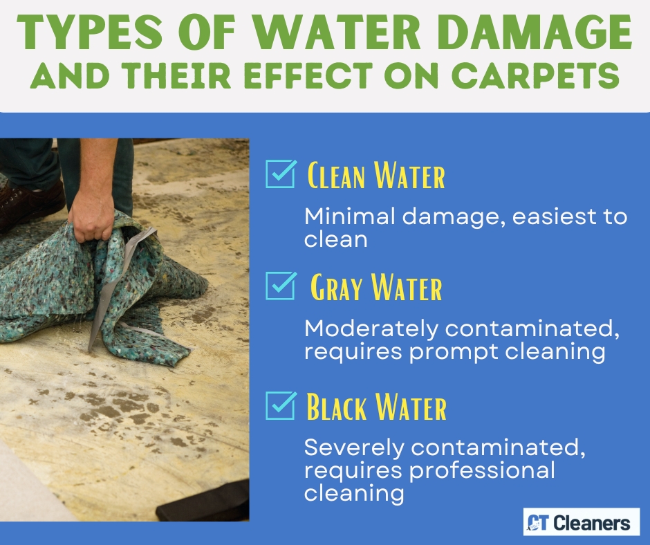Types of Water Damage and Their Effect on Carpets