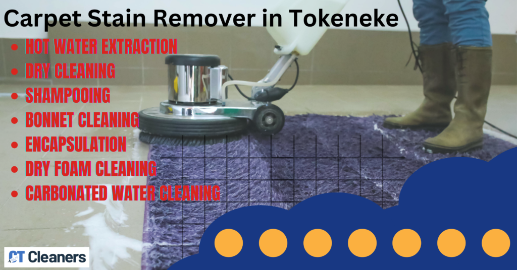 Carpet Stain Remover in Tokeneke